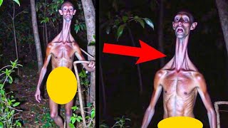 O que São Essas Criaturas Aterrorizantes Capturadas Pela Câmera Aqui Estão Os Detalhes Chocantes