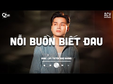 Nỗi Buồn Biết Đau (Lofi ver) - Phan Duy Anh | Bình Yên Của Em Là Niềm Hạnh Phúc Của Anh... Lofi 2025