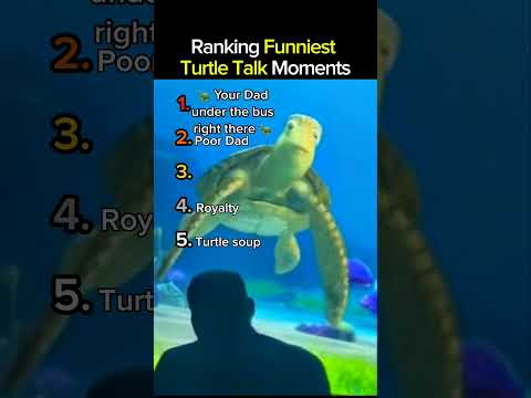 Ranking Funniest turtle talk Moments Part 9