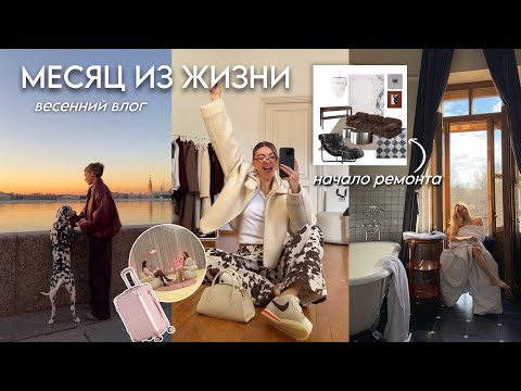Начало ремонта в своей квартире, мое первое интервью, живем в старинном замке
