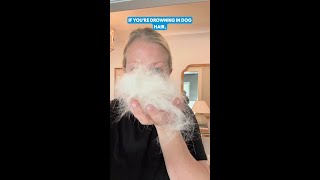 Pet hair has never been more afraid.