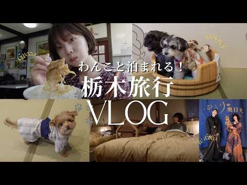 【愛犬と過ごせる宿へ🏚️】わんこと泊まれる！1泊2日の栃木旅行🐕️＃女子旅#ドライブ ＃VLOG