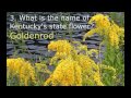 Kentucky State Trivia Challenge: Test Your Knowledge