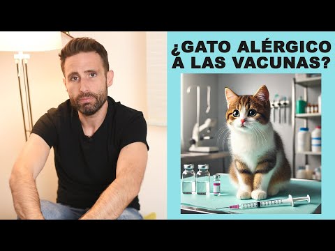 ¿Qué hago si mi gato es alérgico a las vacunas?