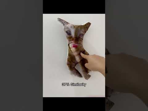 http://uglycat.club/products/uglycat