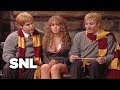 Harry Potter Group Dynamics and Challenges