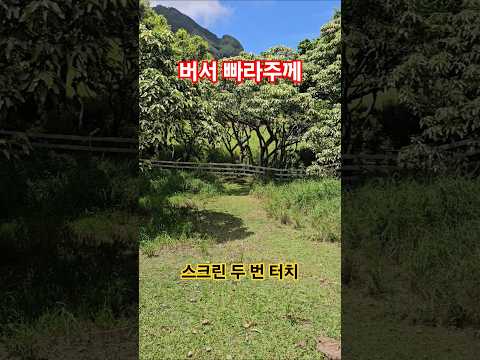 버서 빠라주께