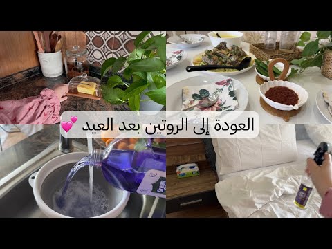 "ضليت أستنى الحافز لحتى أتحرك… بس ما إجا"💛روتين تحفيزي💛طريقة المنسف بالجميد السائل💕