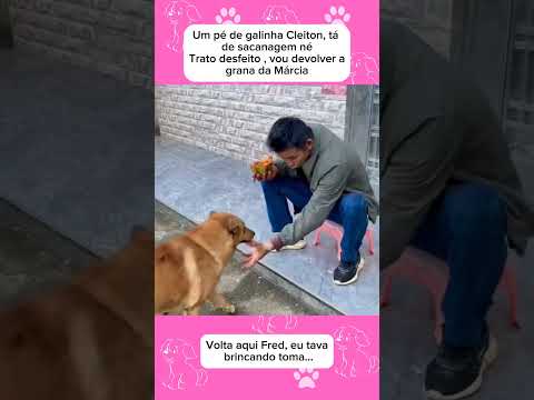 #pets #caesengracados #animaisengracados #cachorro #gatosengracados #petsengracados #humor #gatos