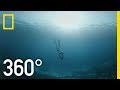 Marine Conservation and Fishing Practices