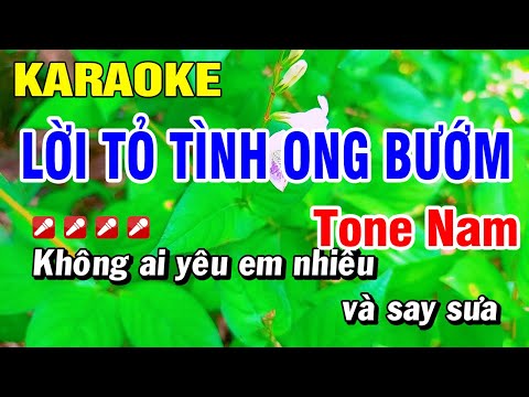 Karaoke Lời Tỏ Tình Ong Bướm – Vũ Hùng Tone Nam Cha Cha | Hoài Phong Organ