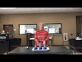 Indicator Color Changes in Water Experiment