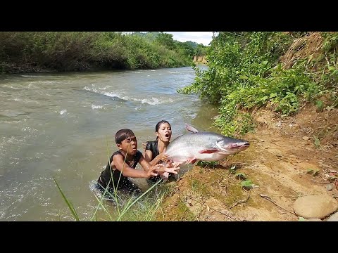 Survival in the rain forest, Meet 10 Kg Big fish  for survival food- Cooking big fish Delicious food