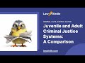 Understanding the Adult and Juvenile Justice Systems