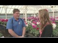Nursery Operations and Horticulture Knowledge