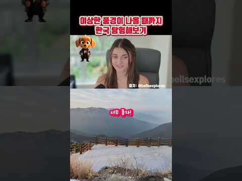 이상한 풍경이 나올 때까지 한국 탐험해보기