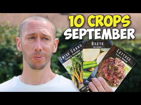 10 Valuable Crops You Should ALWAYS Be Planting in September