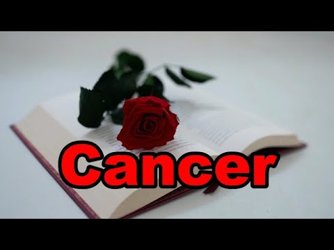 CANCER ALGUIEN ESTA UY ENAMORADO DE TI LO QUE SIENTE POR TI ES UN AMOR REAL Y SINCERO