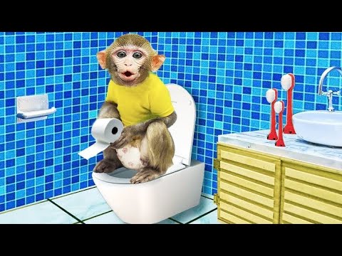 bon bon Monkey Bath for Cute Monkey in Bathroom and eat Yummy Watermelon with Duck