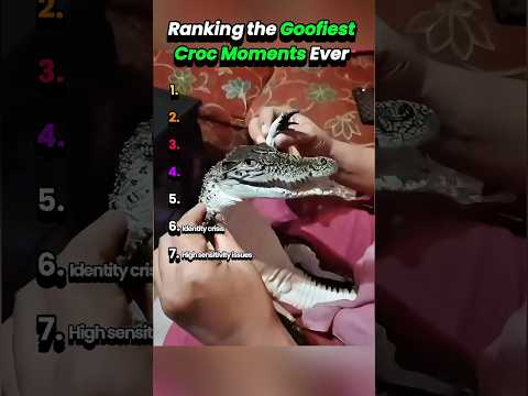 Ranking the Goofiest Croc Moments Ever #crocodilevideo #shortanimals #aligator