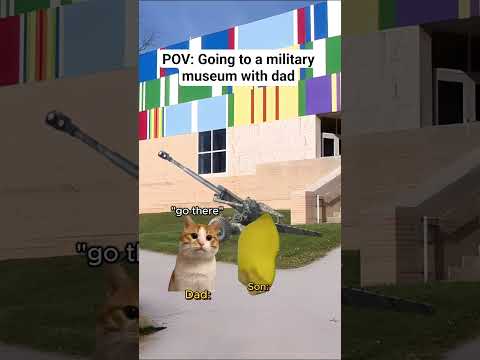 CAT MEMES 🐱 Going to a military museum with dad #catmemes #relatable