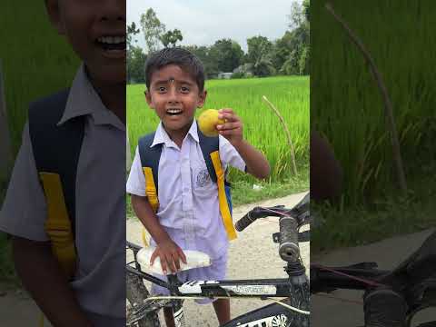 Lollipop Le jakar dhaan Khet Mein fenk Diya Chhotu ka bhai #shorts