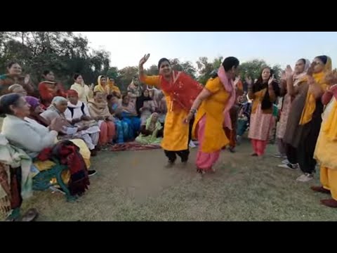 Haryanvi geet and dance live