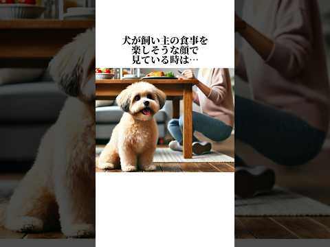 犬の知って損しない秘密が可愛すぎる😢犬の可愛い雑学5選🤫