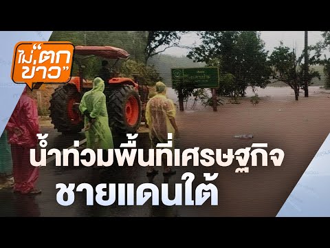 น้ำท่วมพื้นที่เศรษฐกิจชายแดนใต้ | ไม่ตกข่าว | 28 พ.ย. 67