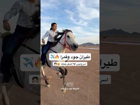 تحدي السرعه ✈️👧🏻 جود اصغر اجمل خياله 😍 الفيديو طرب 👌🏻 اذكروا الله #اكسبلور #خيل #جود #حصان #🐎