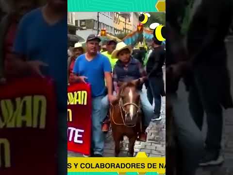 Marcha en defensa de la tauromaquia y charrería en CDMX