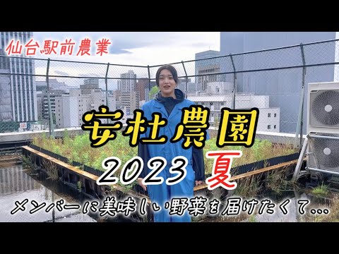 Yasumori Farm 2023 Summer ~I want to See Everyone's Smiles~