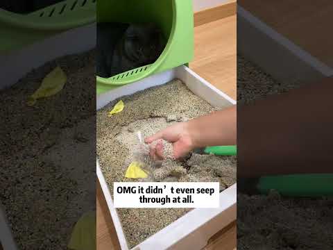 Cat litter china supplier. Mineral cat litter wholesale. Cat litter factory price #cat #petcare