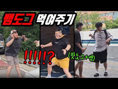핫도그에서 뱀이 나온다면!? 뱀도그 ㅋㅋㅋ