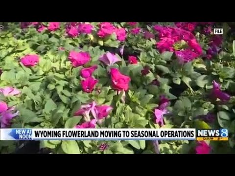 YouTube video thumbnail: Wyoming Garden Center Will Operate Seasonally