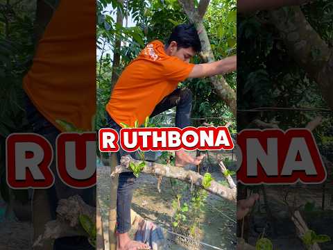 R uthbo na 😢 #minivlog #shorts #vlog