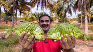 Hariyali Fish Curry | Fish Recipe | WORLD FOOD TUBE