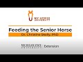 Senior Horse Care and Nutrition