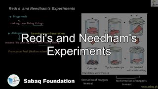 Redi's and Needham's Experiments