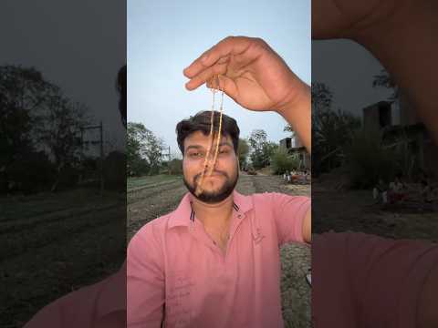 Finally Chen Mil Gai 2🙏🏻|| • #minivlog #shortsvideo #trending