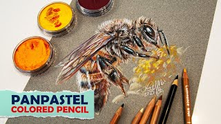Draw a Bee That Steals the Show with These Pro Tips!