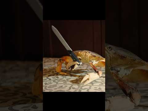 Fencing master crab#tvshow #shorts #shortvideo #fyp #fouryou