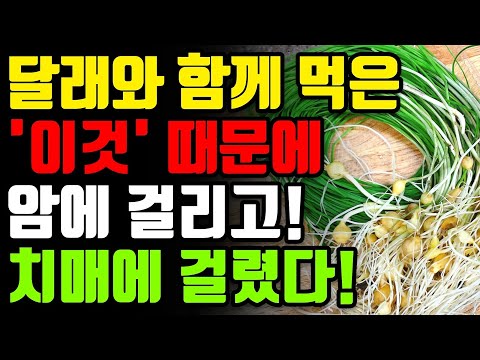 달래와 절대로 함께 먹지마세요! 암과 치매에 걸릴 수 있습니다! 달래 함께 먹으면 보약보다 좋은 3가지와 만성 염증 독소 싹 빼주는 레시피 [봄 나물 효능 관절염 해독 건강 정보]