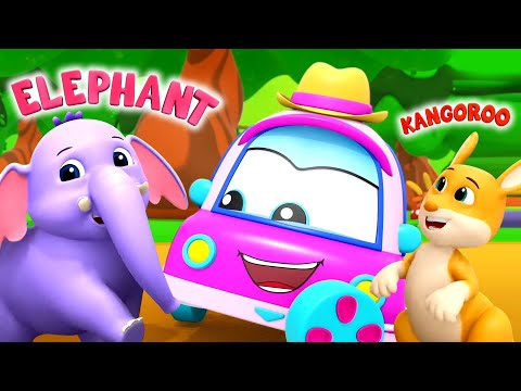 Name The Animal, Animal Song + More Nursery Rhymes for Kids