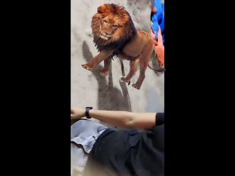 عود صاير سبع و ميخاف من #الاسد 🦁 شوف شنو سوه ؟ 😂🤣😂🔥
