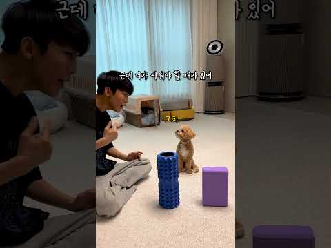 시각장애인 아빠에게 싸움 신기술 배우는 강아지 #시트콤