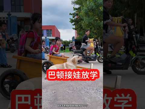 Cute puppy 🥰 and mummy 🤣 part 07 mini wood toy-wood working art skill/wood/handcraft/#shorts