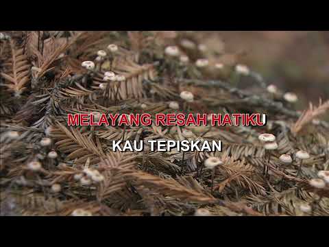 PERTALIAN YUYUN AJUNDA Indonesian Malay Karaoke
