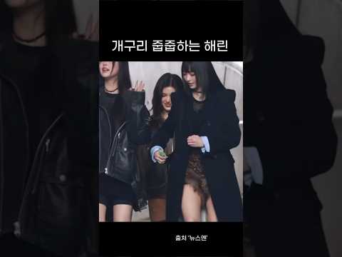 [뉴진스] 개구리라면 사족을 못쓰는 고양이