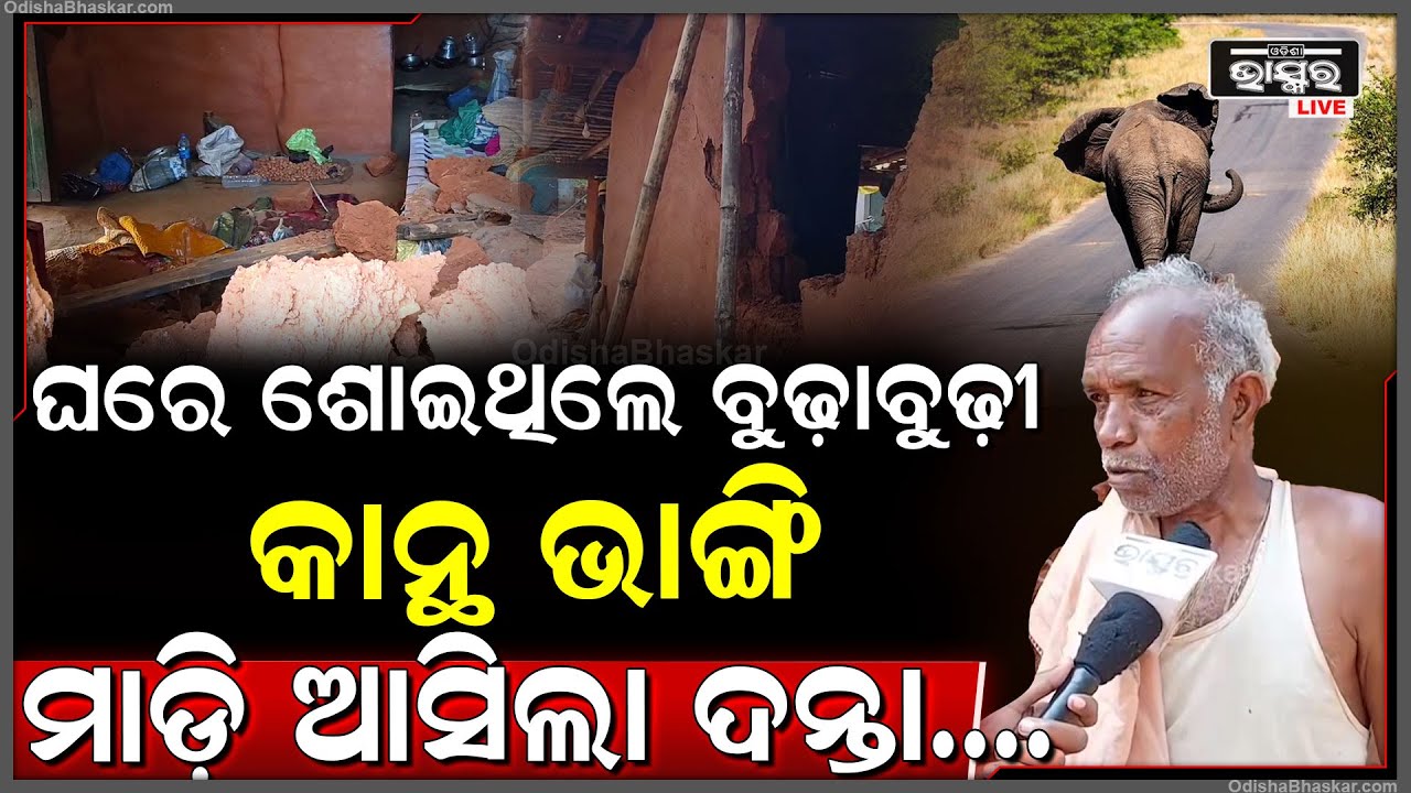 ଘରେ ଶୋଇଥିଲେ ବୁଢ଼ାବୁଢ଼ୀ କାନ୍ଥ ଭାଙ୍ଗି ମାଡ଼ି ଆସିଲା ଦନ୍ତା...ଭୟରେ ଗ୍ରାମବାସୀ...